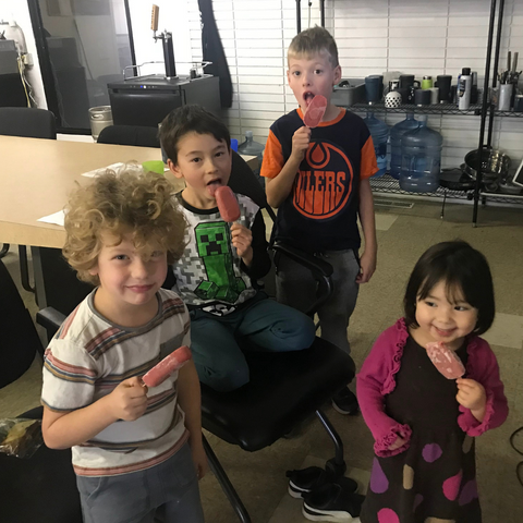Smoothie Pops Variety Pack